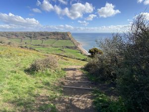 South West Coast Path, Devon